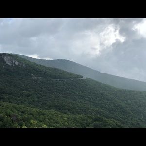 Meet your Posher, Lilly